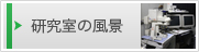 研究室の風景