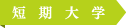 短期大学
