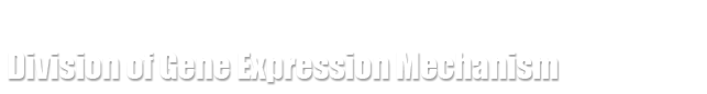 Institute for Comprehensive Medical Science [ICMS], Fujita Health University, Division of Gene Expression Mechanism