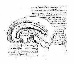 cmbb1.jpg (11364 oCg)