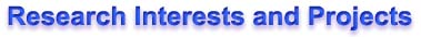 Research Interests and Projects