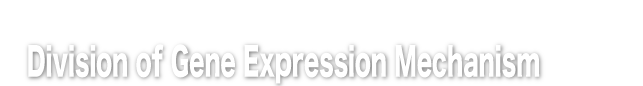 Center for Medical Science, Fujita Health University, Division of Gene Expression Mechanism