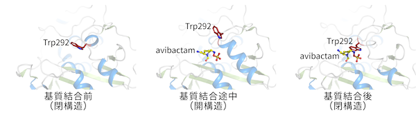 ADC-227の構造変化
