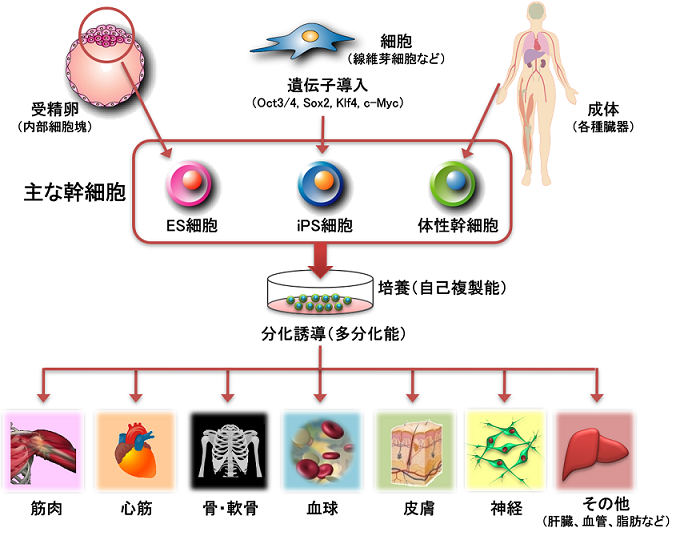 方針イメージ