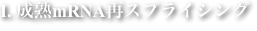 shapeimage_2_link_0