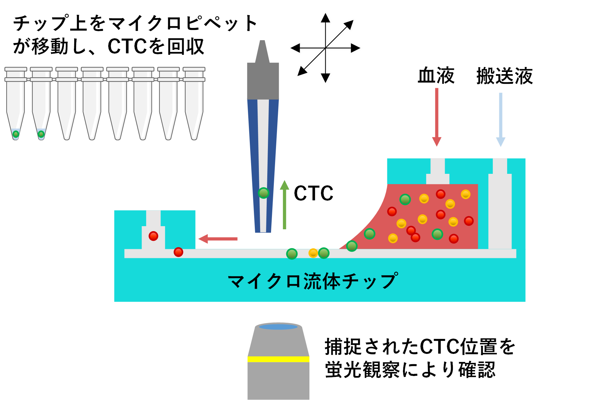 負担の少ないがん診断が期待される細胞採取装置を開発