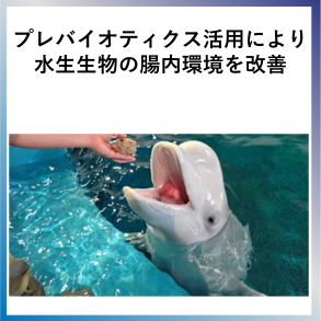 SDG14  プレバイオティクス活用により水生生物の腸内環境を改善