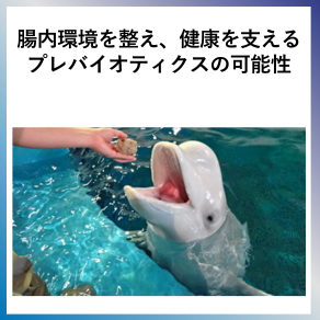 SDG14　腸内環境を整え、健康を支える プレバイオティクスの可能性