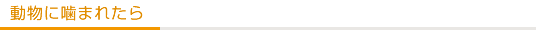 動物に噛まれたら