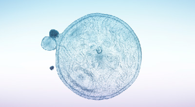 International Regenerative Medicine Center