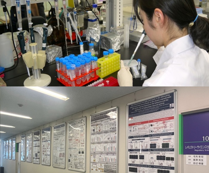 Department of Regulatory Science, Research Promotion Unit | Fujita ...
