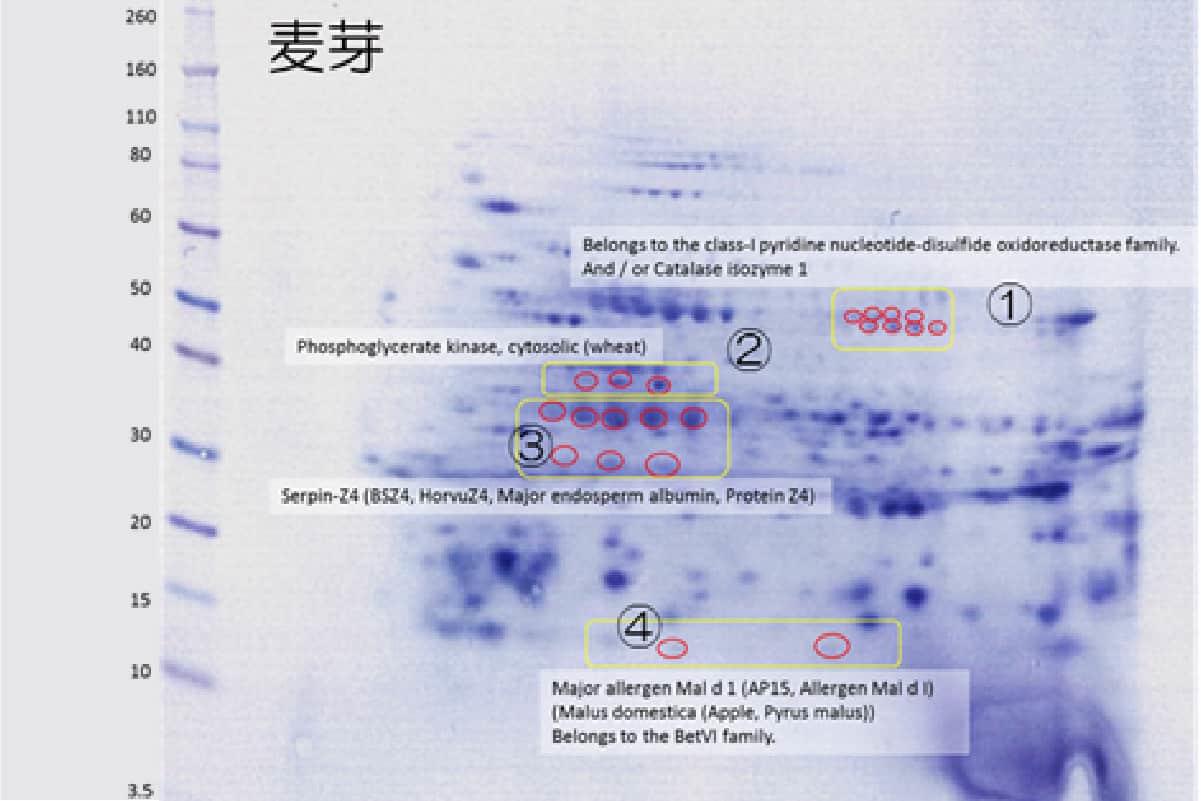 臨床で得られた情報と血清学的検討から原因抗原を同定します。