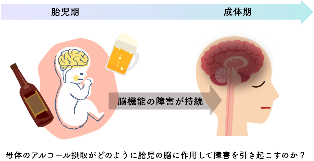 FASDの原因は何ですか?