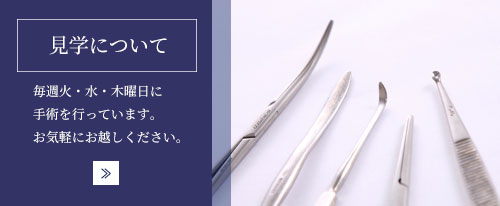 見学について