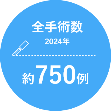 全手術数（2019年）約500例