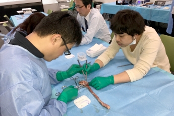 外科実技講習会