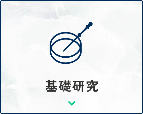 基礎研究