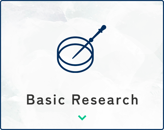 Basic Research