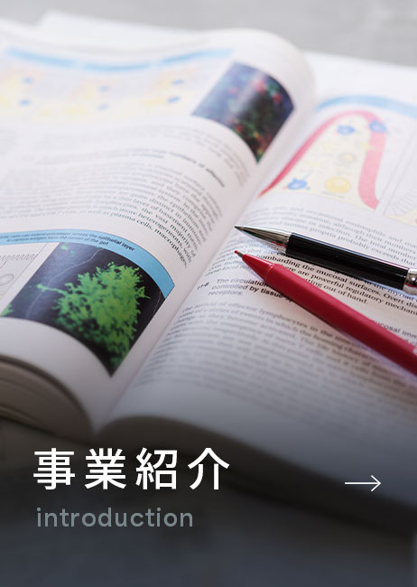 事業紹介
