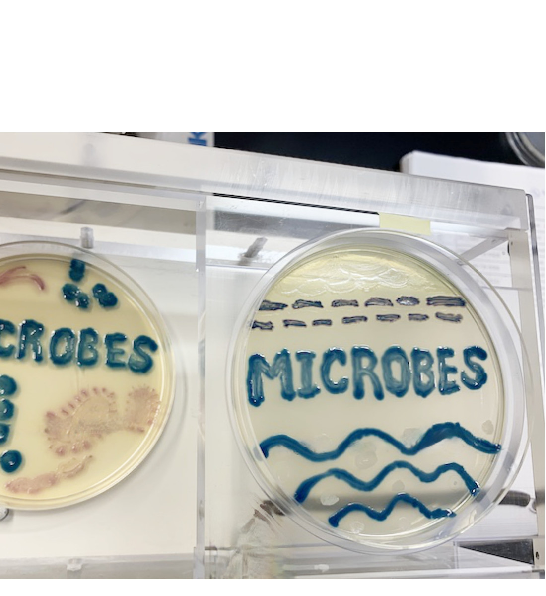 微生物学講座・感染症科 | 藤田医科大学 医学部