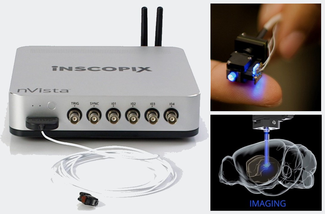 Invivoイメージングシステム