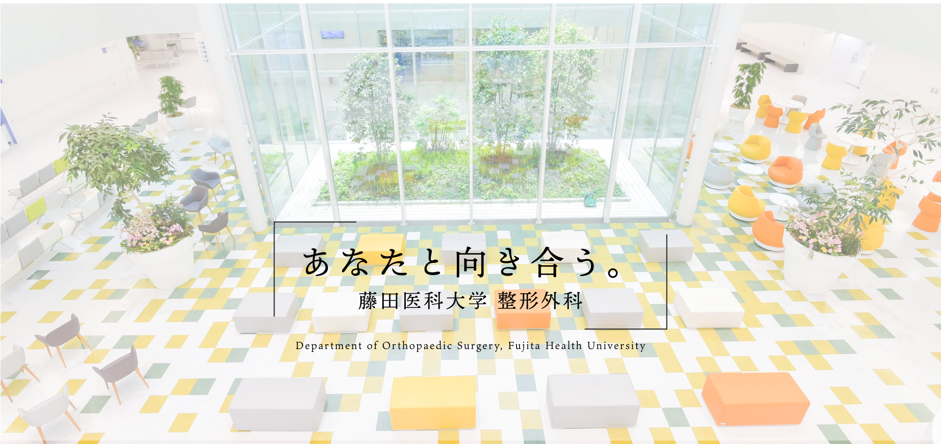 藤田医科大学 整形外科