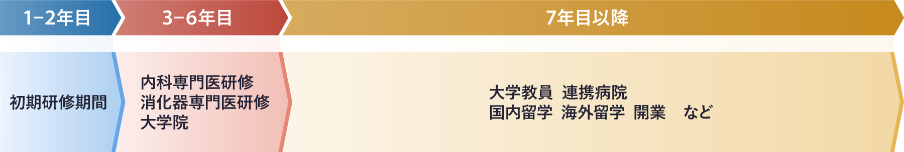 キャリアパスモデルコース3